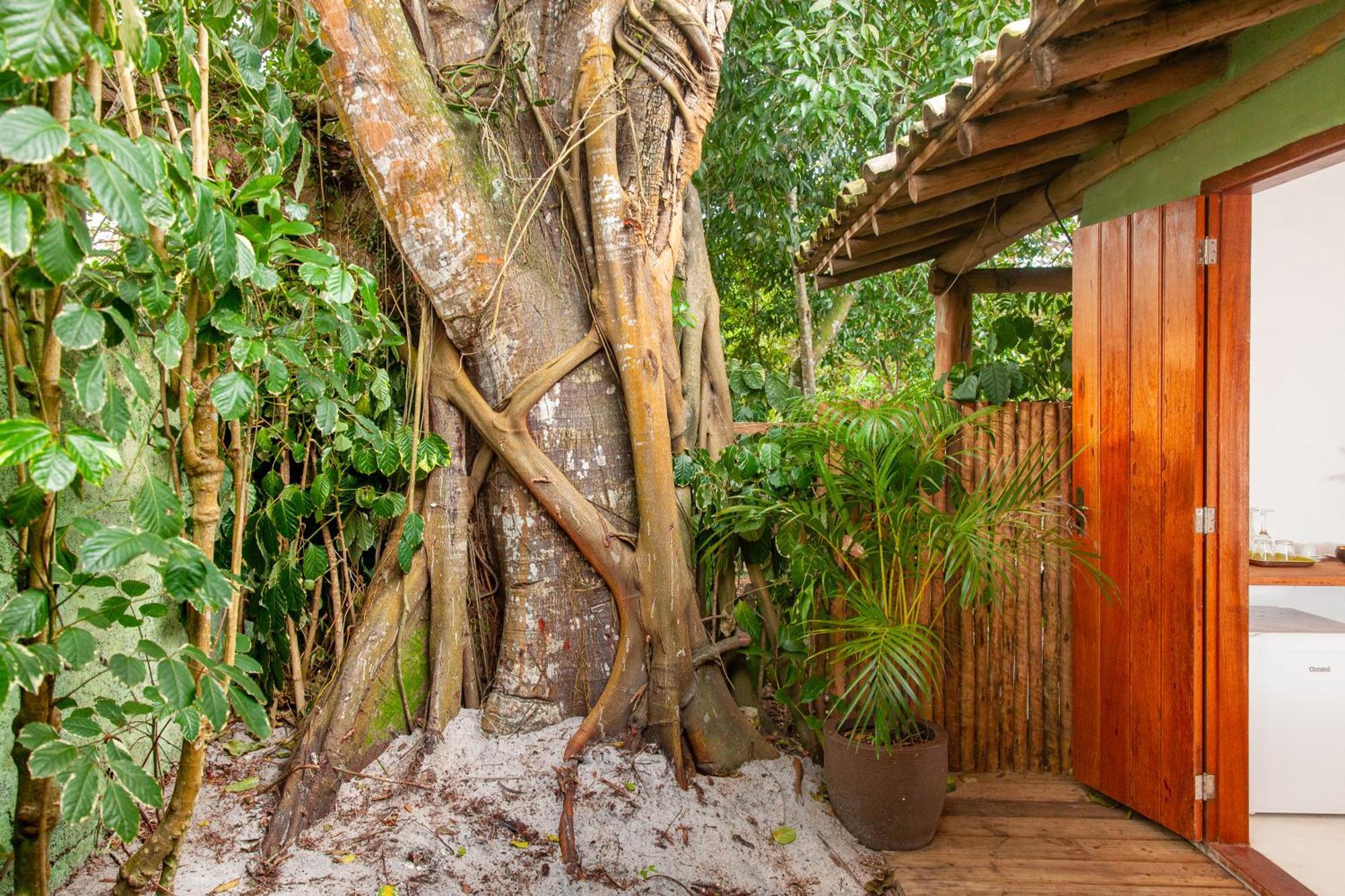 Pousada Mangue Sereno Caraíva Eksteriør bilde